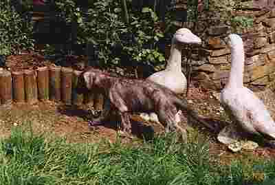 [....keine Zeit, keine Zeit....]